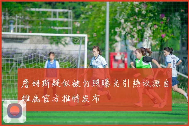 詹姆斯疑似被打照曝光引热议源自雄鹿官方推特发布