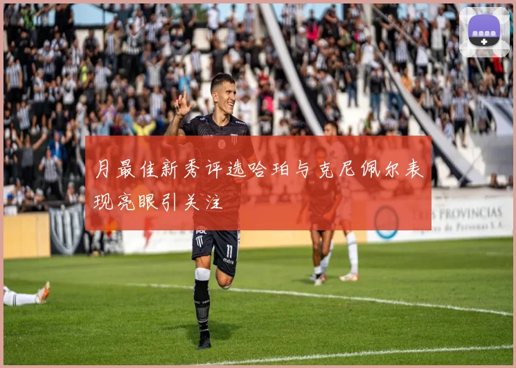 月最佳新秀评选哈珀与克尼佩尔表现亮眼引关注